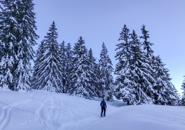     Pěší túry na sněžnicích Skitouring v regionu Dachstein West 